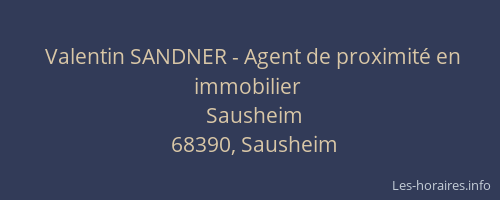 Valentin SANDNER - Agent de proximit&eacute; en immobilier