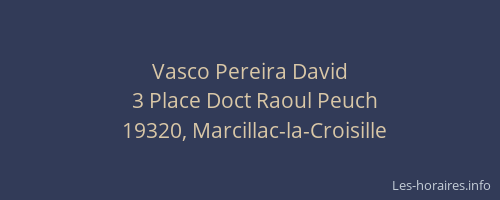 Vasco Pereira David