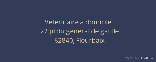 V&eacute;t&eacute;rinaire &agrave; domicile