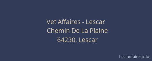 Vet Affaires - Lescar