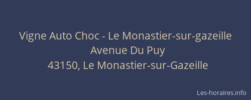 Vigne Auto Choc - Le Monastier-sur-gazeille