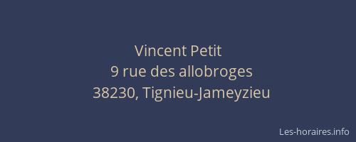 Vincent Petit