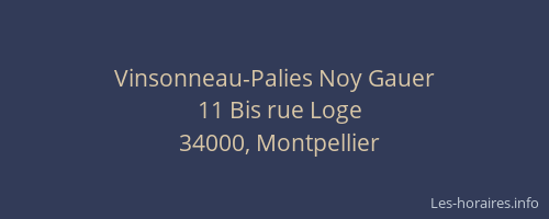 Vinsonneau-Palies Noy Gauer