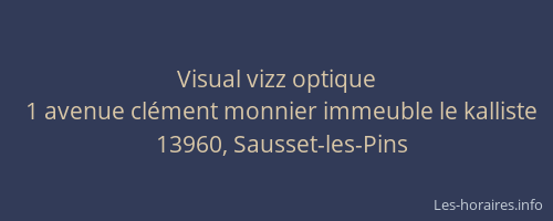 Visual vizz optique