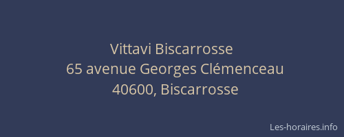 Vittavi Biscarrosse