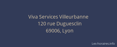 Viva Services Villeurbanne
