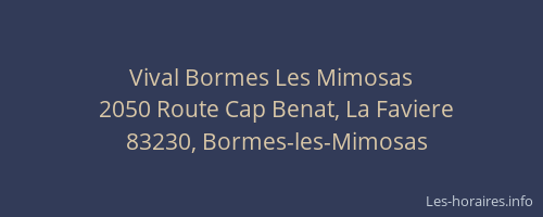 Vival Bormes Les Mimosas