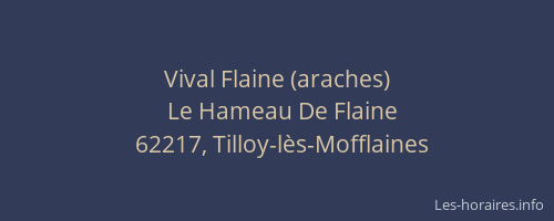Vival Flaine (araches)