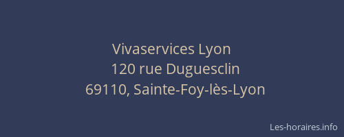 Vivaservices Lyon
