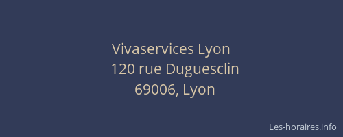 Vivaservices Lyon