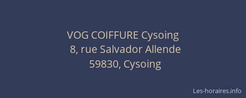 VOG COIFFURE Cysoing