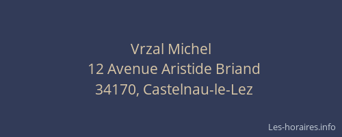 Vrzal Michel