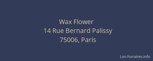 Wax Flower
