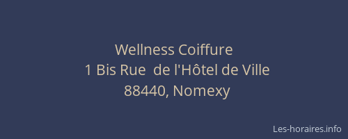 Wellness Coiffure