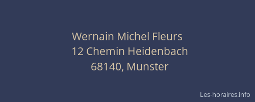 Wernain Michel Fleurs