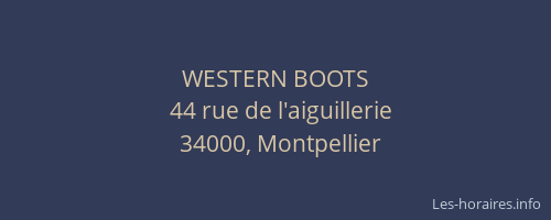 WESTERN BOOTS