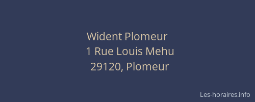 Wident Plomeur