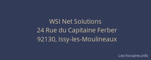 WSI Net Solutions