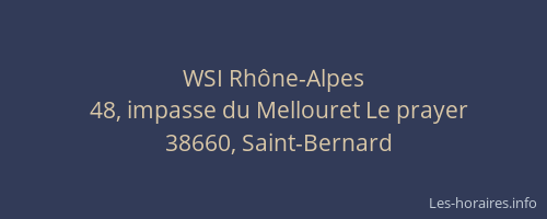 WSI Rh&ocirc;ne-Alpes