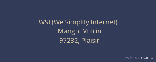 WSI (We Simplify Internet)