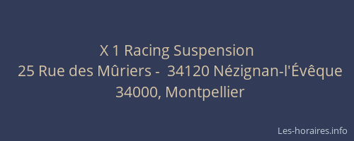 X 1 Racing Suspension