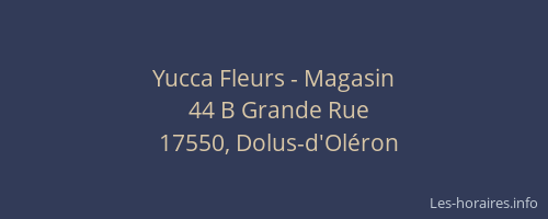 Yucca Fleurs - Magasin