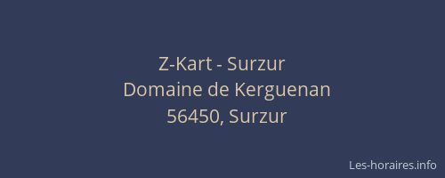Z-Kart - Surzur