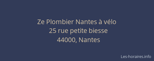 Ze Plombier Nantes à vélo